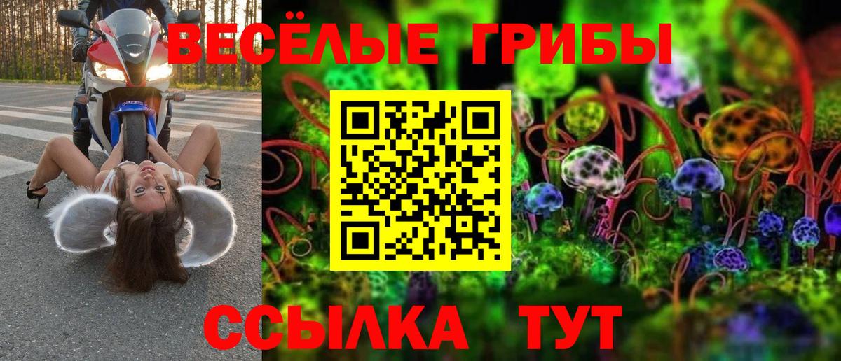 Псилоцибиновые грибы Cubensis  Вход с VPN  Нальчик 