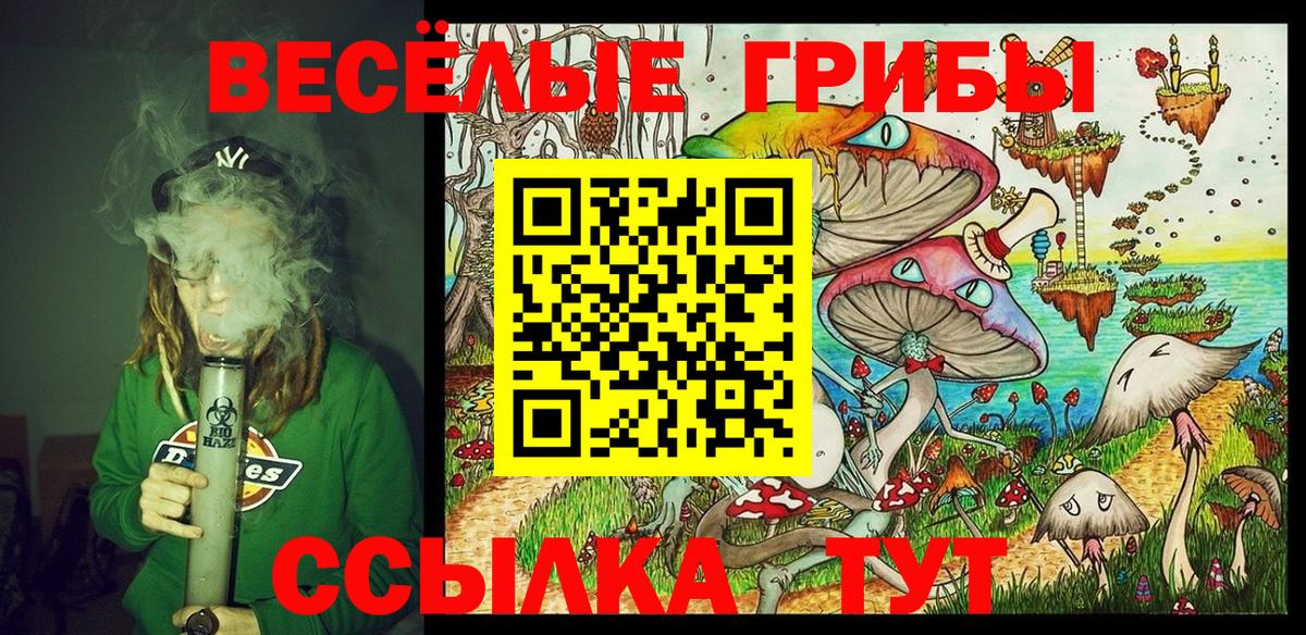 Галлюциногенные грибы ЛСД Нальчик